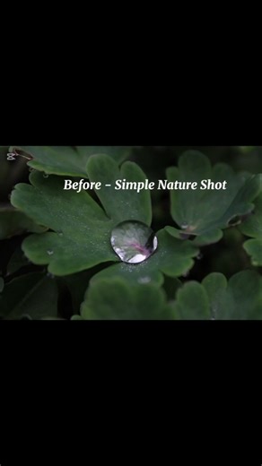 📸 Before & After: Waterdrop Macro Photography | Canon EOS 2000D