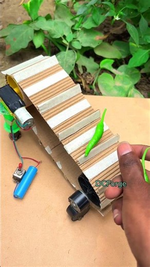 “You Won’t Believe This DIY Escalator Actually Works”