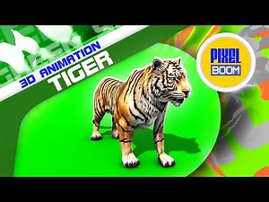 Green Screen Tiger Run Roar Animals - Footage PixelBoom