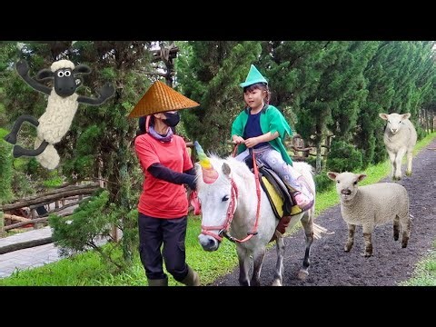 Naik Kuda Poni Unicorn dan Kasih Makan Domba - My Little Pony Binatang Lucu untuk Anak Anak