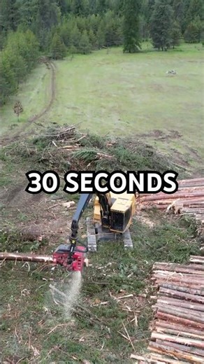 Tree to Timber in 30 Seconds | Log it | Graze it | or Watch it Burn | Tree Processor