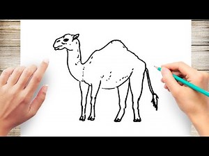 Learn How to Draw Cartoon Camel Step by Step