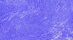 水 流れる 涼しい - Free video on Pixabay