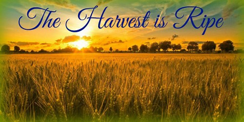 End time harvest of souls - How To Evangelise