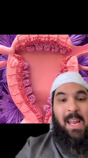 Adel Ghadban on Instagram: "Everything haram on period!"