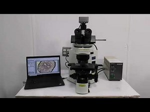 Olympus BX51 Phase Contrast Mechanical Microscope [BOSTONIND] - 56087