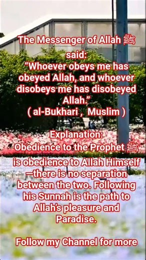 The Most Powerful Hadiths Explaned. #shorts #explore #hadith #islam #quran #faith #funny #my