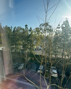 Fresh Baked Disney on Reels