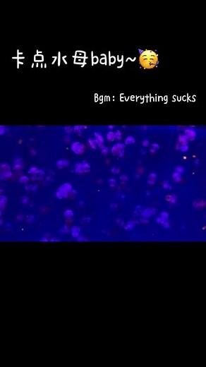 在浮躁的世界，花一分钟安静享受水母带给你的放松吧！#奇幻水母 @DOU 小助手