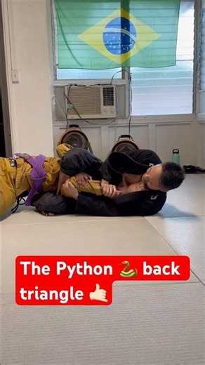 THE PYTHON 🐍 BACK TRIANGLE on sale at BJJ Fanatics 👍 #bjj #jiujitsu