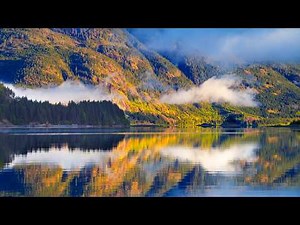 Pure Nature Sounds 4K | Strathcona Provincial Park, Canada (No Music)