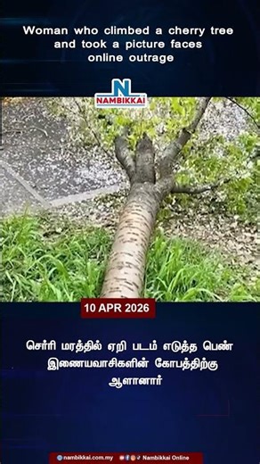 Woman who climbed a cherry tree and took a picture faces online outrage