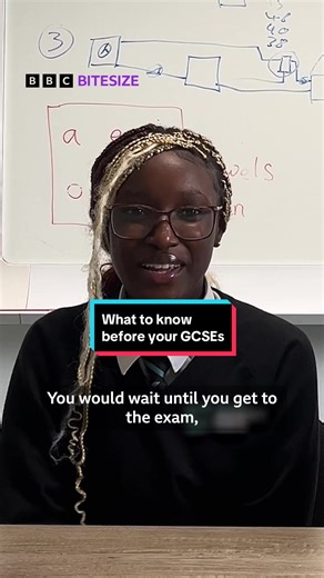 Essential Tips for Success Before Your GCSEs
