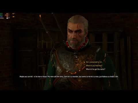 Family Matters Part 3 Complete (Walkthrough) | The Witcher 3 Wild Hunt