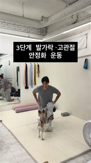 [산후 골반케어 프로그램 단계별 가이드] #올바른피티헬스장 #방이동헬스 #오금동pt