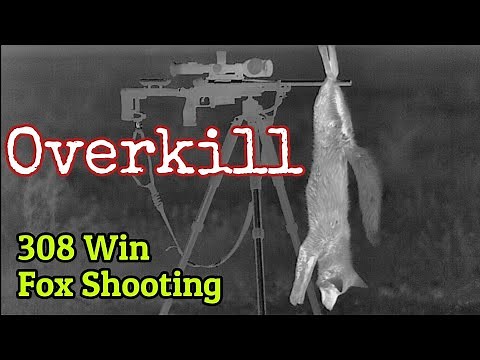 Fox Control Pest Shooting ... with a 308 Win and Pulsar Thermion 2 XP50