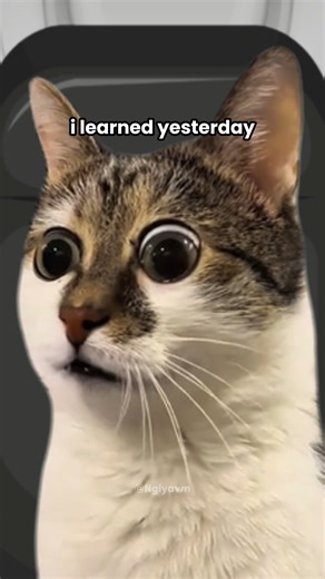 1.6M views · 36K reactions | The Bluetooth device is ready to pair | Ngiyawn | Facebook