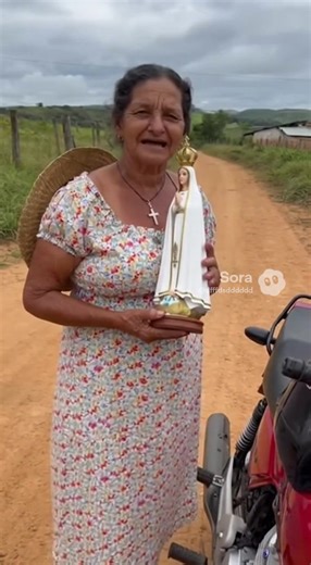 10K views · 1.2K reactions | AI-generated – illustrative only" | Lírios | Facebook