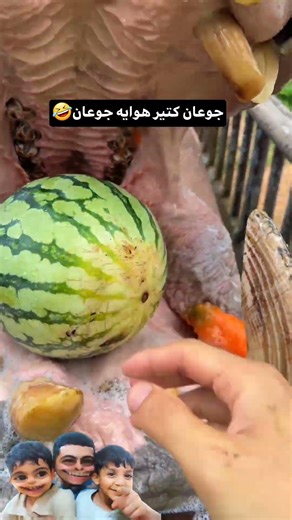 So hungry 🤣🤣🤣🍉 #funny #Iraq #Egypt #duet #Syria #laughter #SaudiArabia #trend #comedy #Iraq