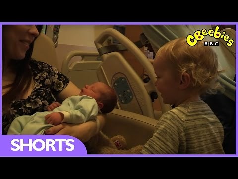 CBeebies: My First - Baby Brother