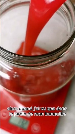 Gelée de groseilles ~ Confiture maison #recettevegan #astucecuisine #confiturefruitsrouges