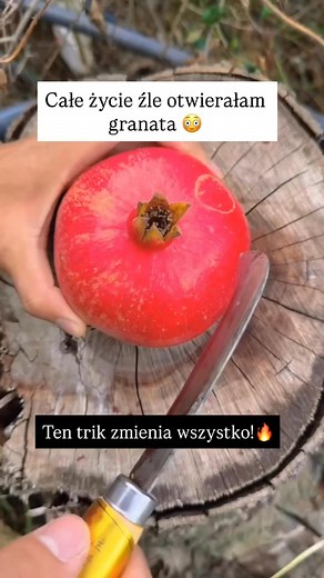 Szybko! Czysto! Efektownie! 🔥 Otwierasz granata w 3 prostych krokach 👣👣👣 ❇️Obejrzyj do końca i zapisz na później! 🔐 A Teraz przyznać się! 😅 Kto tak jak ja męczył się zawsze z granatem? 😁 Dla mnie ten sposób to absolutny game changer🔥 od teraz już tylko tak będę go otwierać🥰 bez bałaganu 🫶🏻 Koniecznie spróbuj🔥 ❇️ i oznacz osobę, która musi to zobaczyć! ❤️✨ ⚠️Chcesz więcej prostych trików kuchennych? ➕Obserwuj mnie po więcej: @calla.inspiruje @calla.inspiruje @calla.inspiruje #granat #