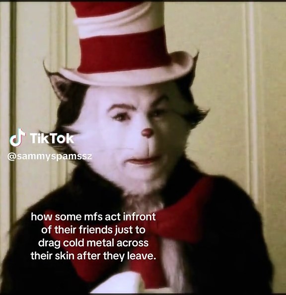 Cat in the Hat Trend Explained: Why People Drag Metal