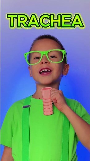 ¿Cómo Respiramos? 🌬️ ¡Sistema Respiratorio Fácil! #niños #aprender