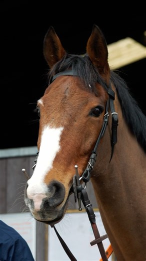 3.9K views · 836 reactions | A very special horse with a very special gift.  Corach Rambler, Randox Grand National winner in 2023. Brought to you by @closebrothersgroup | The Jockey Club | Facebook