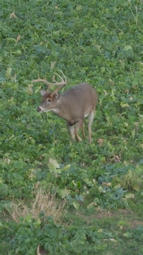 Buck Commander on Instagram: "@tylerfarr is on 🔥at the E3! Catch the NEW episode on our YouTube channel TONIGHT at 6 PM CST"