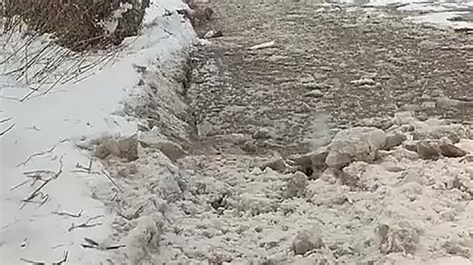7481193204474