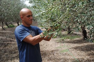 31 reactions · 7 comments | The Process: Lacto-Fermentation 勒 The...