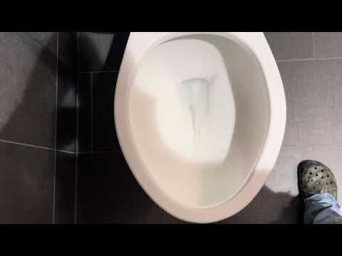 Hospital unisex Restroom