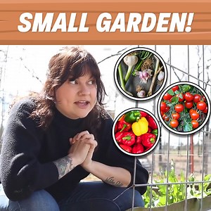 265K views · 5.5K reactions | Gardening Tips for Small Spaces  | Roots and Refuge Farm | Facebook