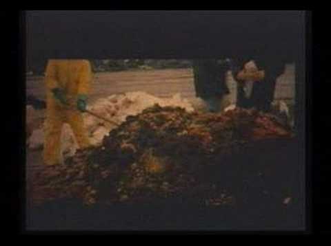 Paul Stamets - Bioremediation with Fungi