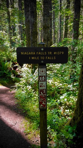 The magnificent Niagara Falls trail is approximately 1 mile each way that leads to two 100 foot waterfalls. It’s definitely a hike worth checking out. #oregoncoast #tillamookcoast #oregonexplored #hikeoregon | Visit Tillamook Coast