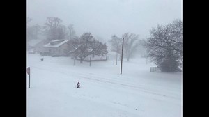 Local 5 provides team coverage as blizzard hits southern Iowa