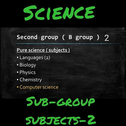 What are the subjects in pure science group in 11th?