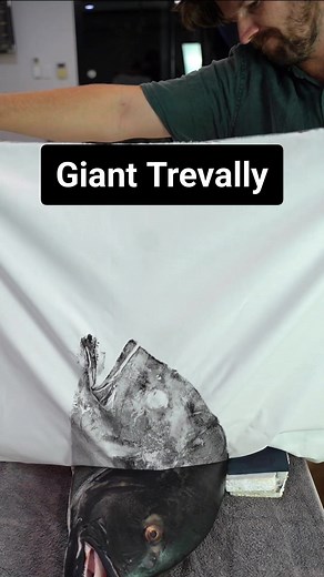 Gyotaku Fish Printing Process Revealed