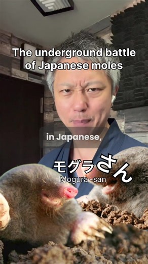 The Underground Battle of Japanese Moles