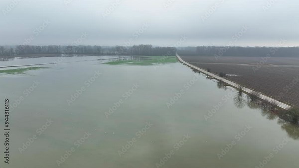 Wheat flood blight mud common Triticum aestivum plants field damaged flooded water plantation damage catastrophe crops mildew rust harvest plant green disaster calamity losses green Europe