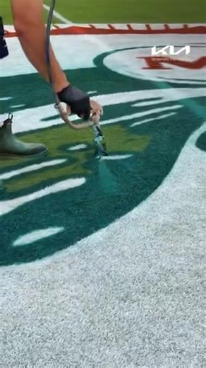 Art 🤌🎨 | Miami Dolphins Zone