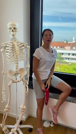 Effective Back Pain Relief: Best Physiotherapy Exercises