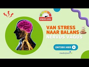 De Nervus Vagus: De Superzenuw die Lichaam en Geest Verbindt