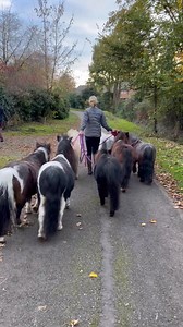 3.5K views · 251 reactions | When people ask me.. | Dinky Ponies | Facebook