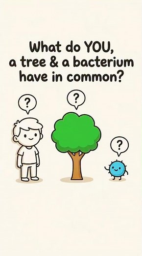 Cell Biology - What is a cell ?