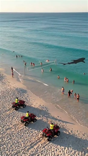 Drone Catches Shark Shadow Near Beach Volleyball Game!
