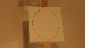 File:Ant-Trail-Pheromone-Biosynthesis-Is-Triggered-by-a-Neuropeptide-Hormone-pone.0050400.s006.ogv - Wikimedia Commons