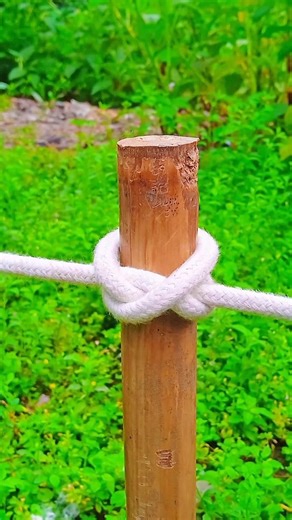 This rope-tying technique for bamboo or poles will definitely be useful for you