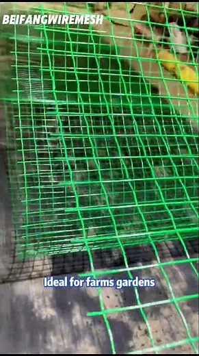 Weather-Ready PVC Coated Wire Mesh 🌱